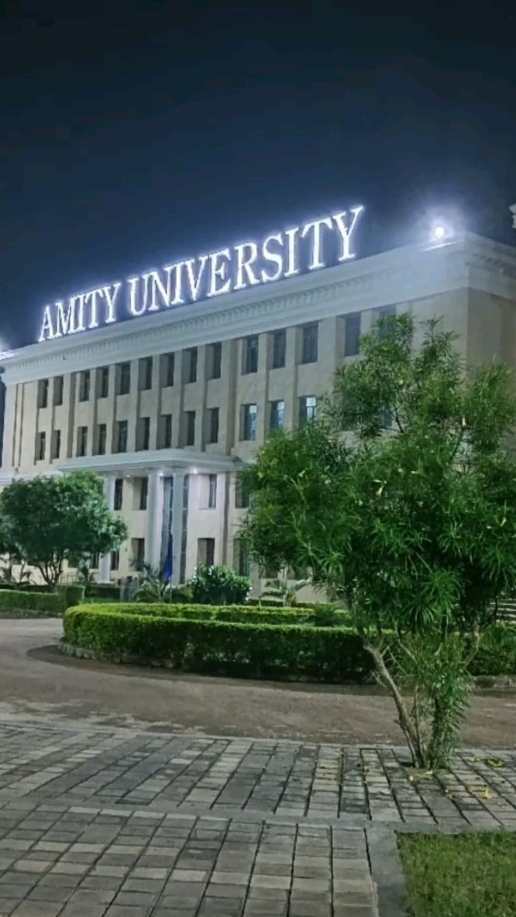 Amity University